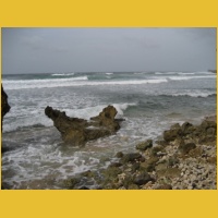 IMG_0263.JPG