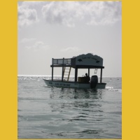 IMG_0447.JPG