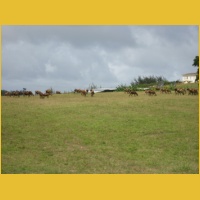 IMG_1074.JPG