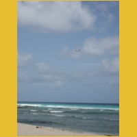 IMG_2459.JPG