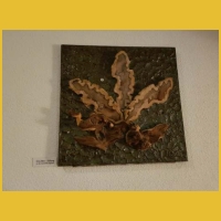 20200924_091407.jpg